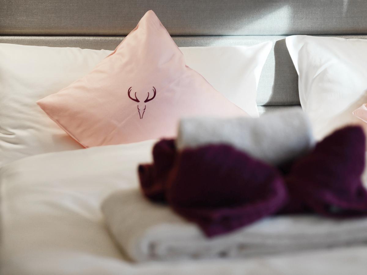 Zum Hirschen - Hotel & Gasthaus Beim Stoeckeler 샤이데크 외부 사진